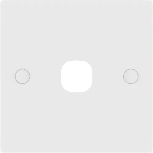 Empty 2-gang UK plate